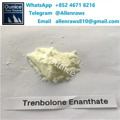 Beli Bubuk Steroid dengan kemurnian Tinggi-Trenbolone Enanthate Cina